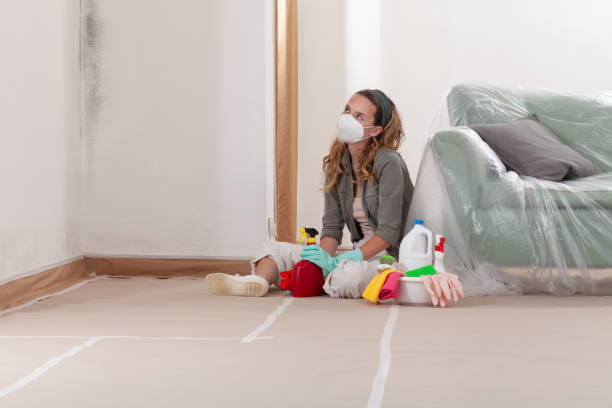Reliable Basement Mold Remediation contractor in Franktown, VA by WQB Mold Removal